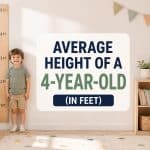 Average Height of a 4 Year Old in Feet
